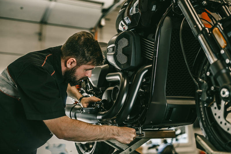 Bike polish